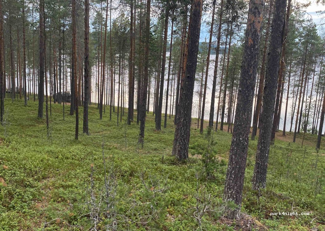 (922 75) Åmsele - Unnamed Road — foto