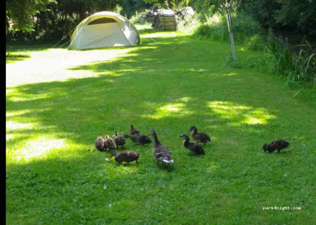 Camping l’Oree du Bois — foto 3