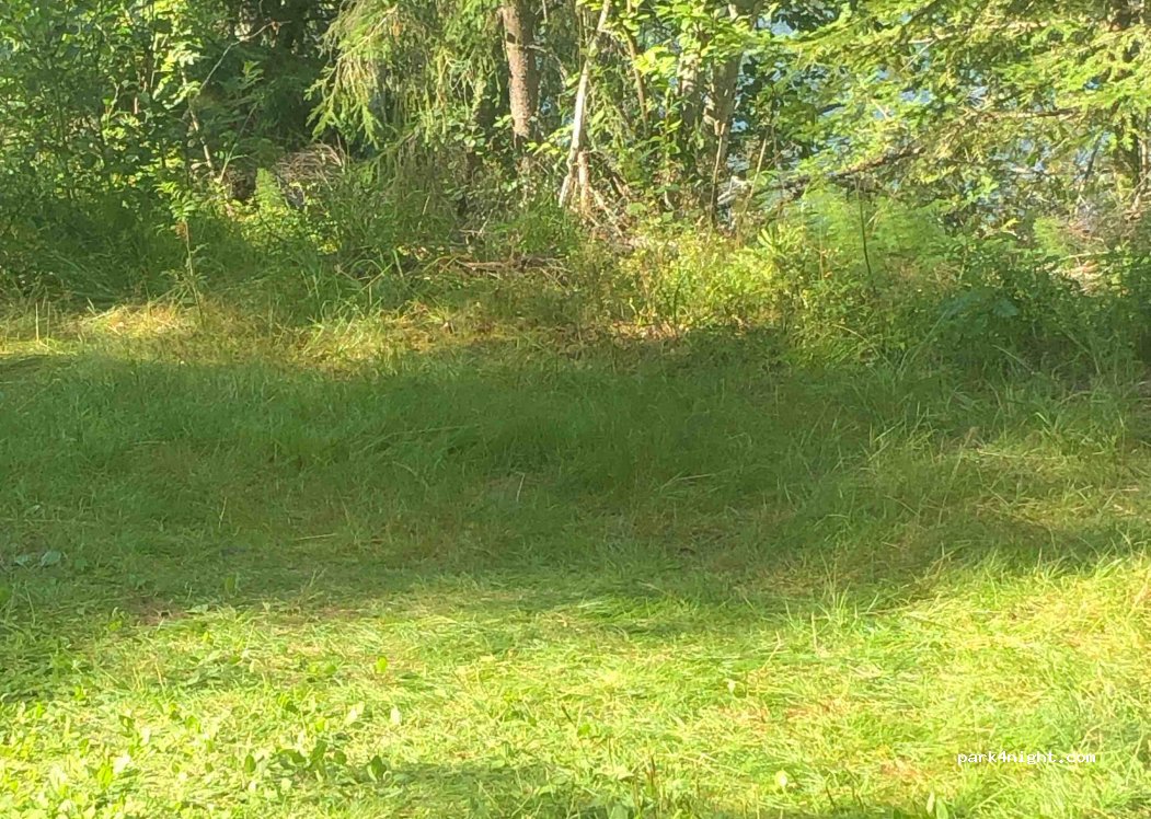 (2256) Grue Finnskog - Unnamed Road — foto