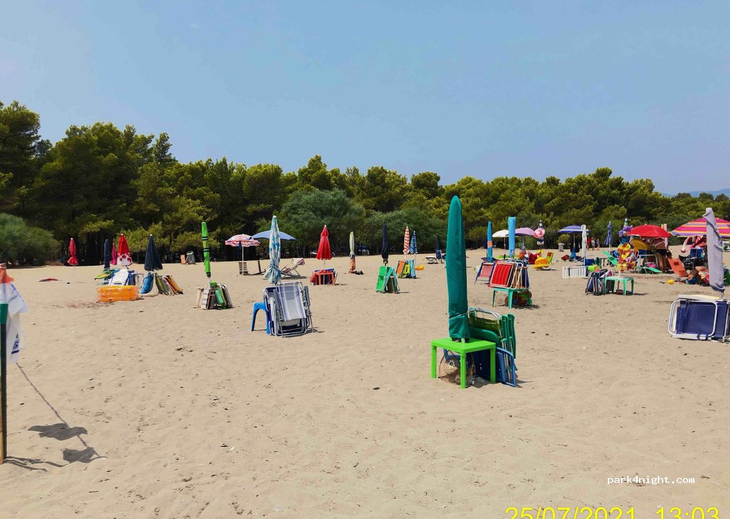 Jonica srl management — foto 2