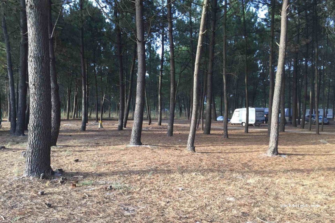Camping Vasco da Gama — foto 2