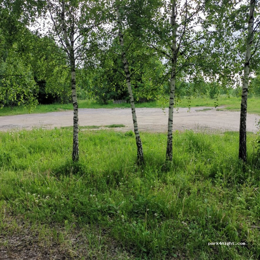 (301011) Bekhovo - Unnamed Road — foto 3