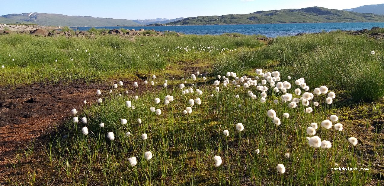 (2985) Tyinkrysset - 1600 Eidsbugardvegen — foto 2