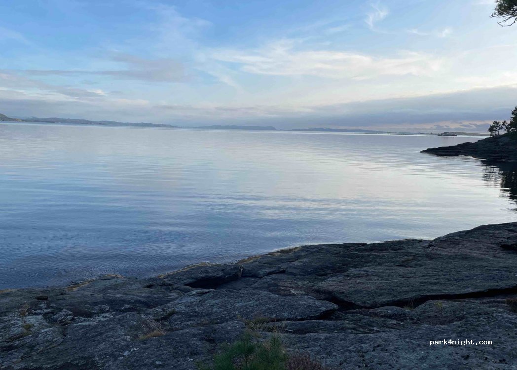 (5560)  - 2 Sekundær Fylkesveg 784 — foto 2