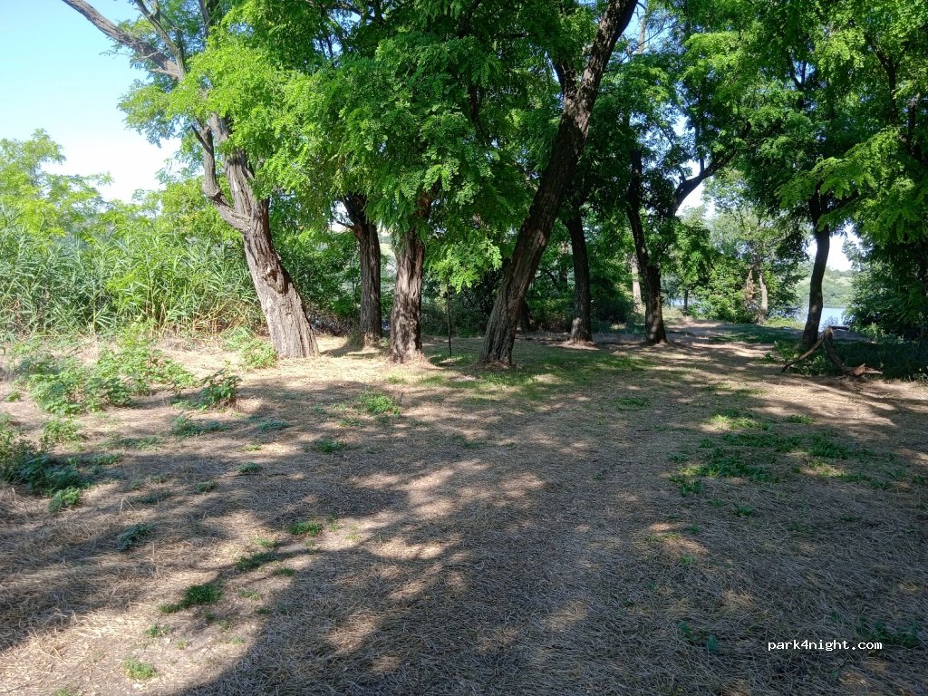 (74231) Novooleksandrivka - Unnamed Road — foto 2