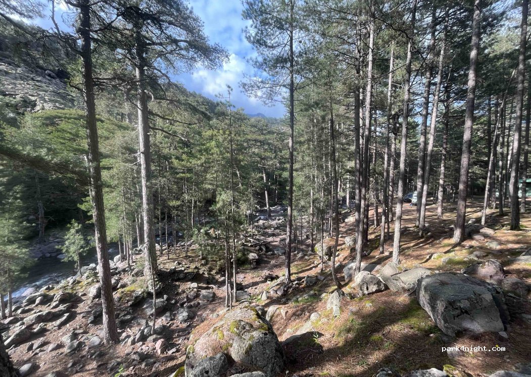 Camping Monte Cinto — foto 3