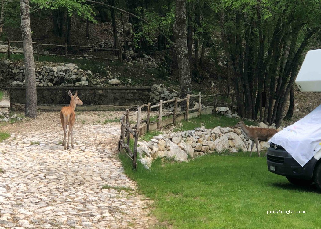 Camping Wolf - Parco nazionale d'Abruzzo — foto 2