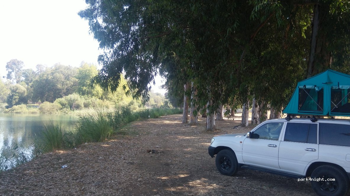 (33402) Mersin - — foto