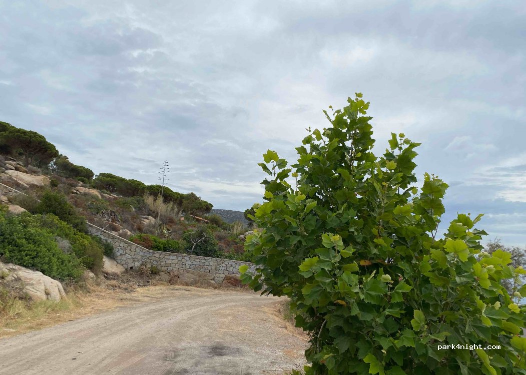 (57034) Campo nell'Elba - 6828 Via della Costa — foto