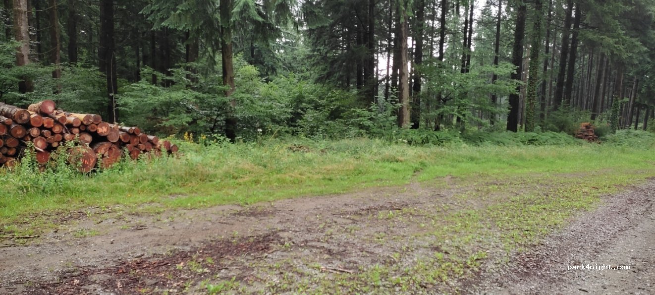(71250) Cluny - Chemin des Dames — foto