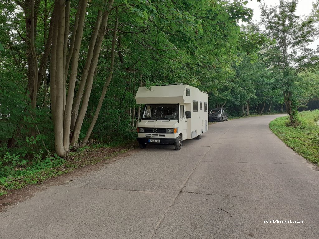 (76-038) Pleśna - Unnamed Road — foto