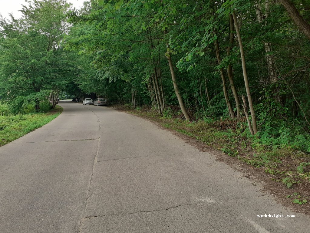 (76-038) Pleśna - Unnamed Road — foto 2
