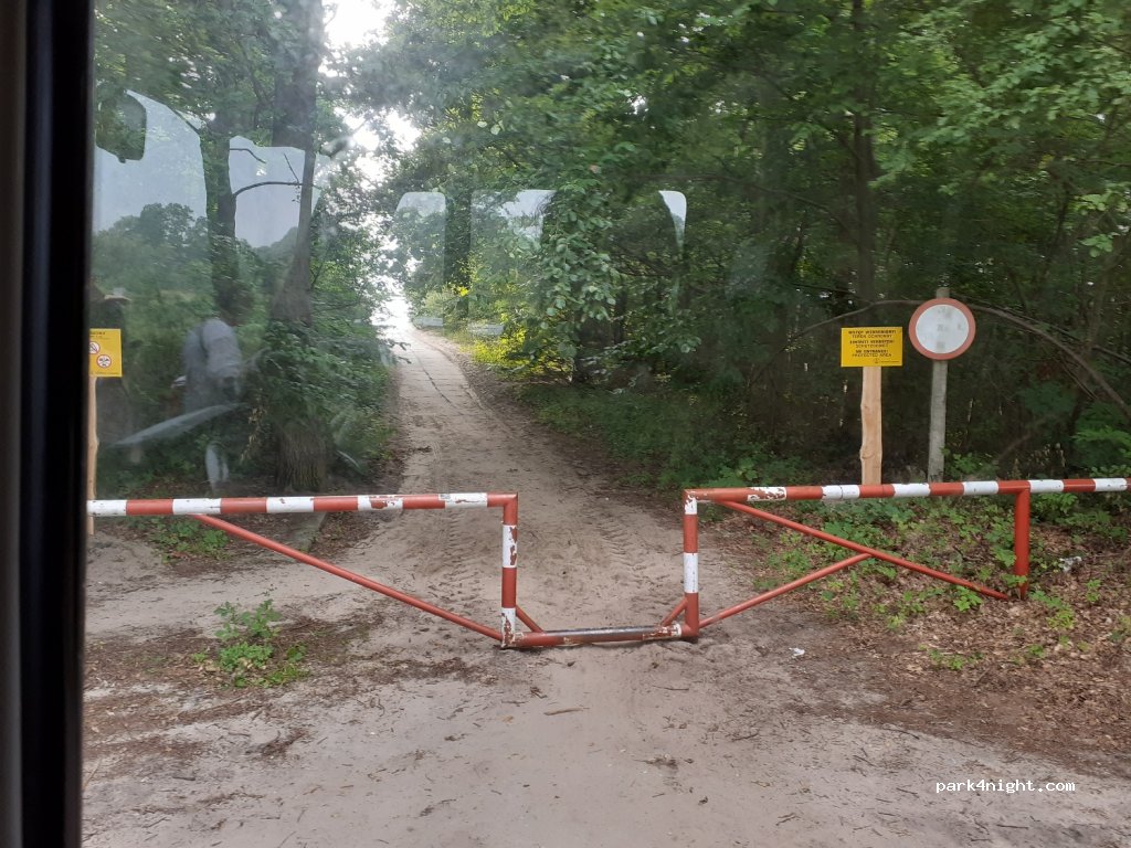 (76-038) Pleśna - Unnamed Road — foto 3
