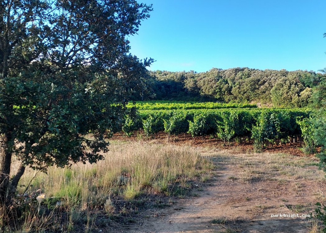 (30430) Barjac - Unnamed Road — foto