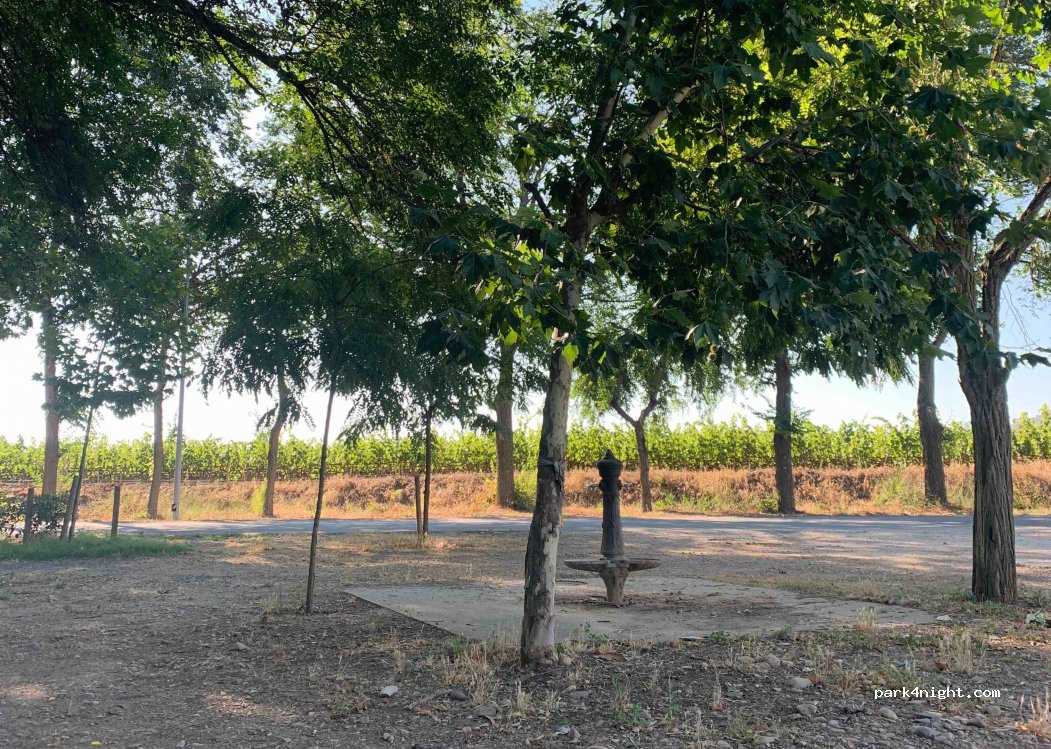 (31587) Mendavia - Unnamed Road — foto 2