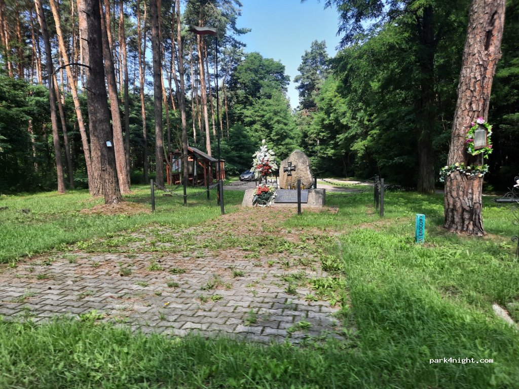 (26-340)  - Droga Wojewódzka 728 — foto