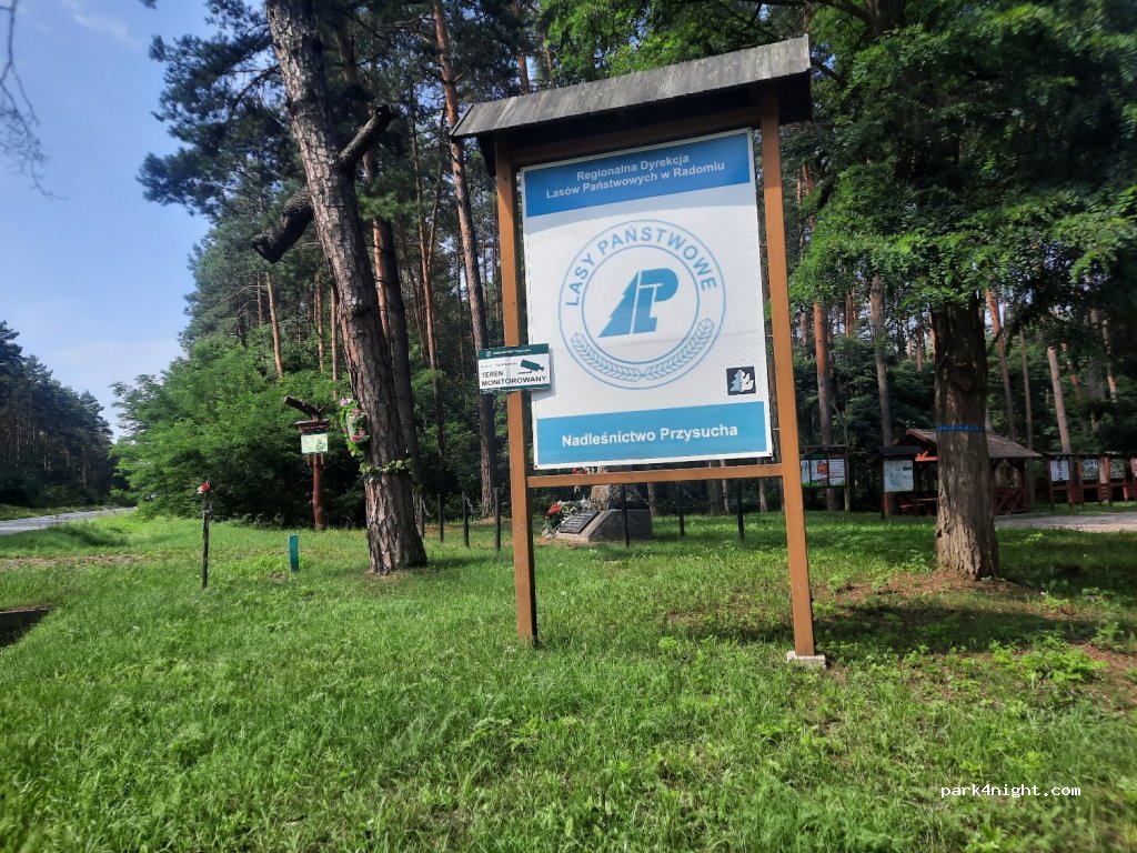 (26-340)  - Droga Wojewódzka 728 — foto 2