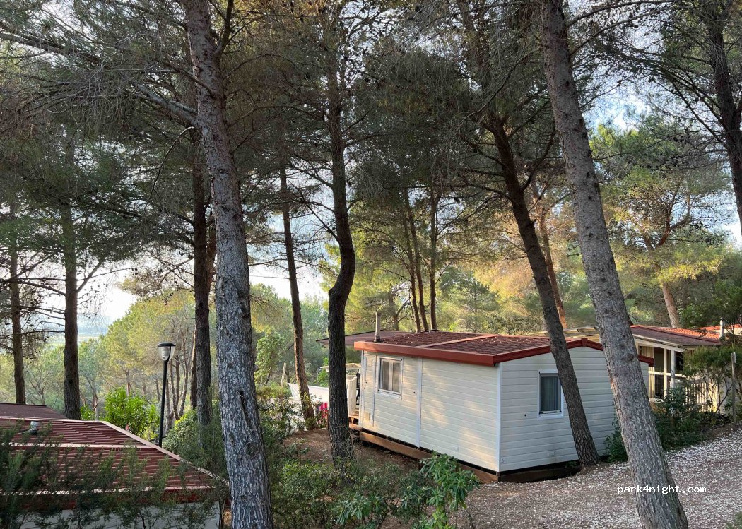 Camping Le Pianacce — foto 3