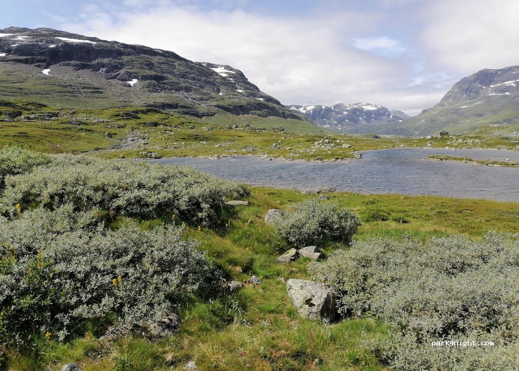 (3895) Vestland - Haukelivegen — foto