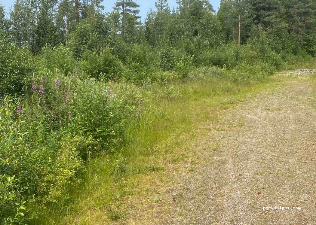 (2432) Trysil - Primær Fylkesveg 215 — foto