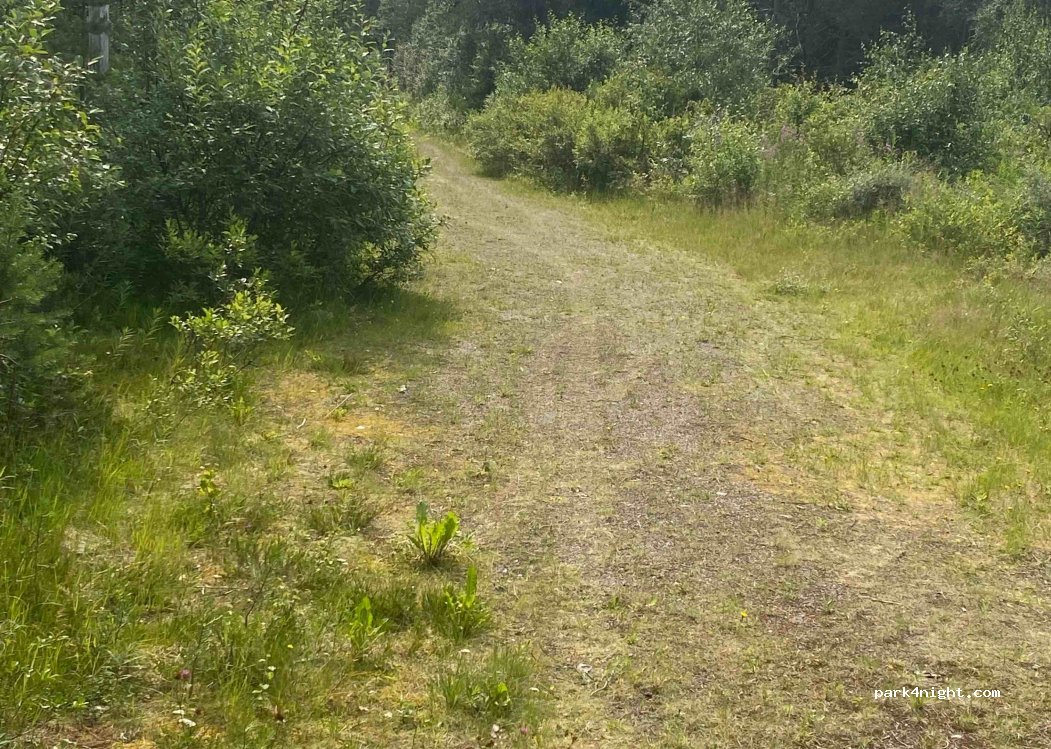 (2432) Trysil - Primær Fylkesveg 215 — foto 2