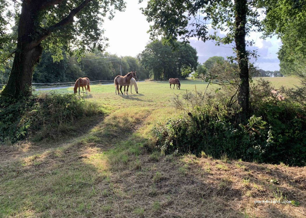 (22370) Pléneuf-Val-André - D17 — foto 3