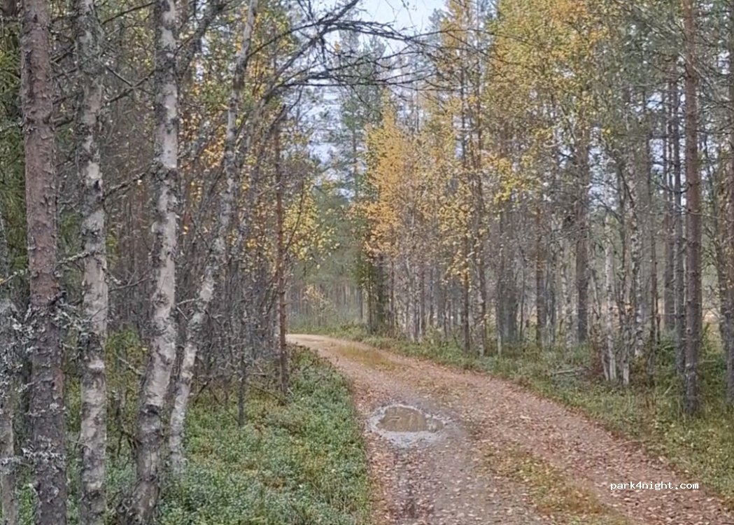 (2432) Slettås - Primær Fylkesveg 215 — foto