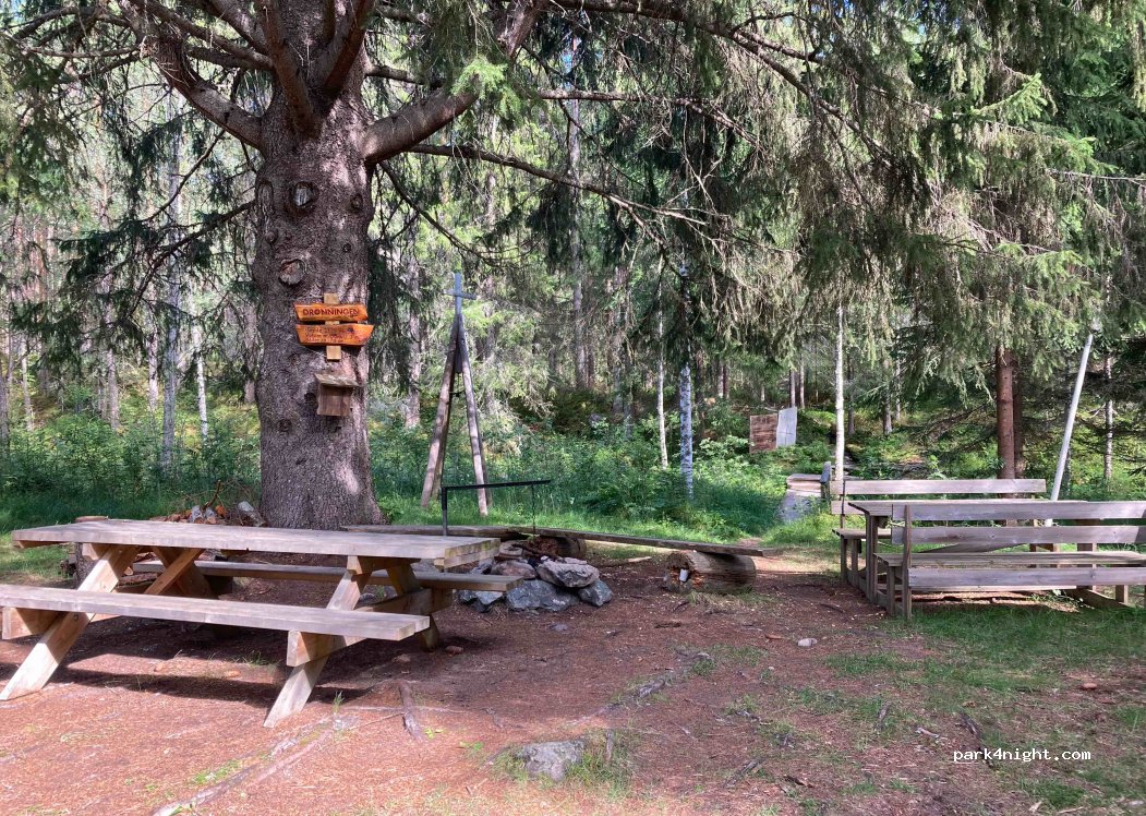 (2485) Rendalen - 22 Skogholet — foto 2