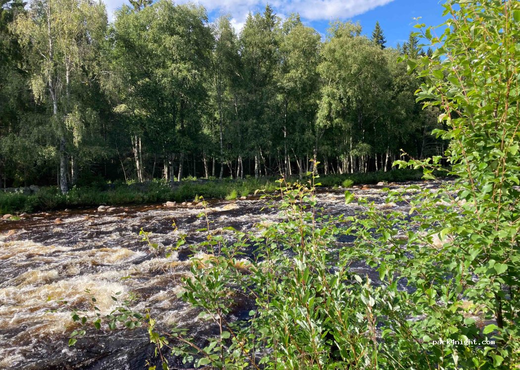 (2485) Rendalen - 22 Skogholet — foto 3