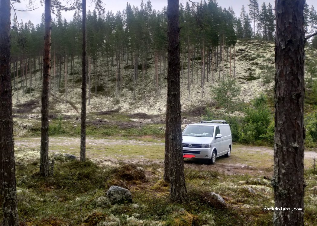 (2485) Rendalen - 22 Skogholet — foto 4
