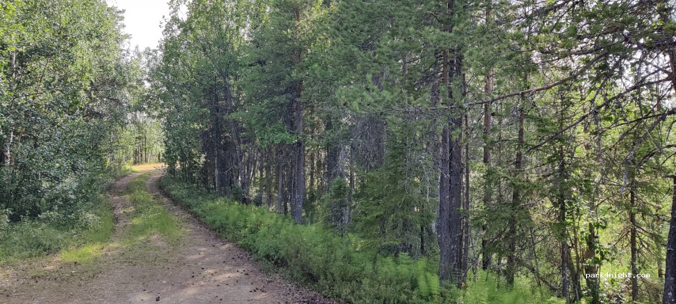 (962 99) Jokkmokk - Unnamed Road — foto