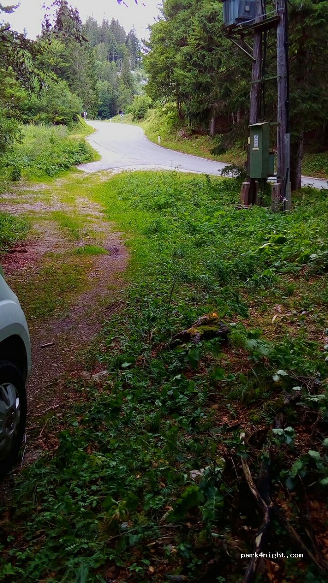(4229) Sorica - 58a Zgornja Sorica — foto 2