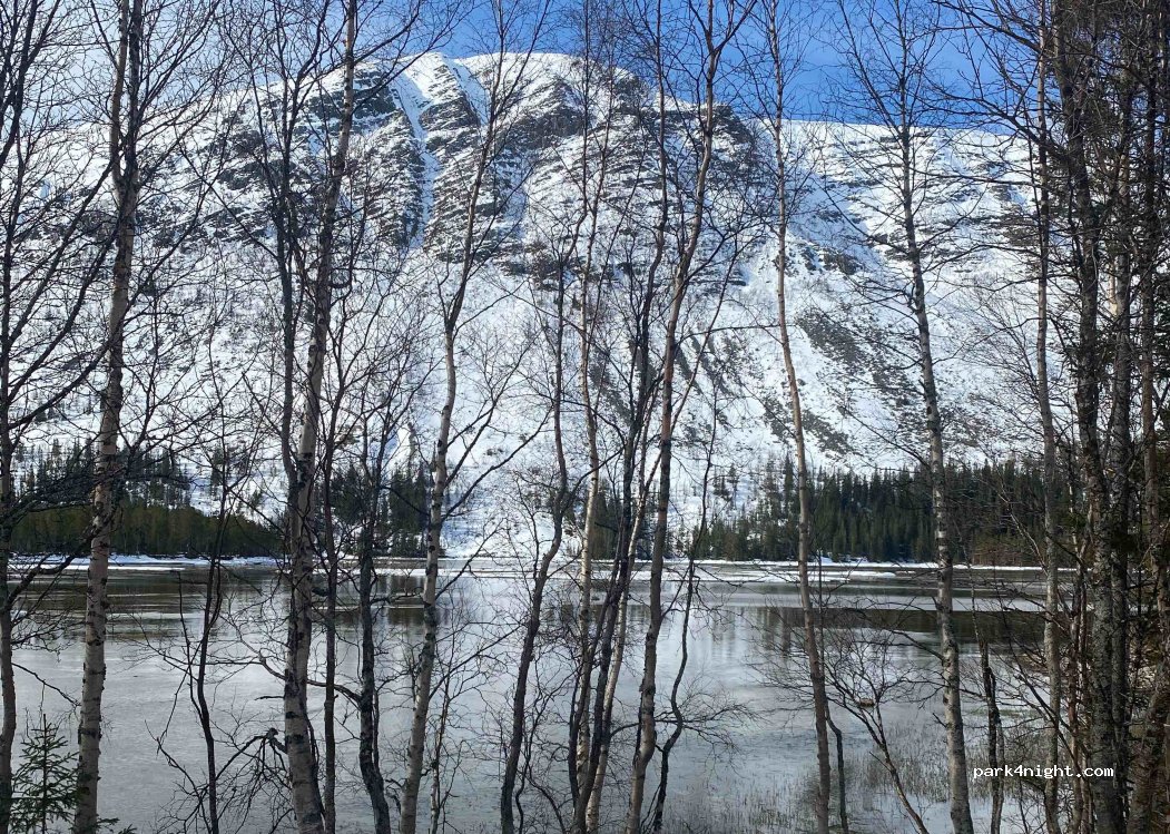 (2430) Engerdal - 1719 Sennsjøvegen — foto 2
