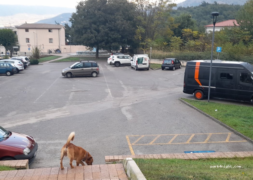 (84081) Baronissi - 20-22 Via Guglielmo Marconi — foto