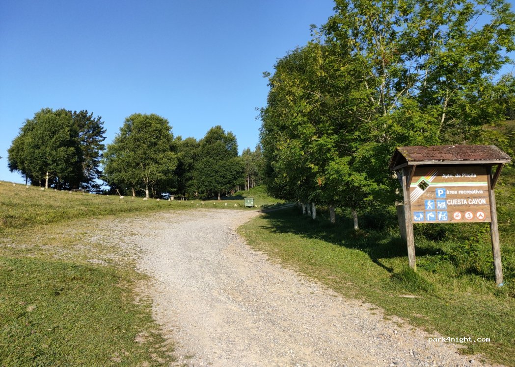 (33539) Piloña - — foto 2