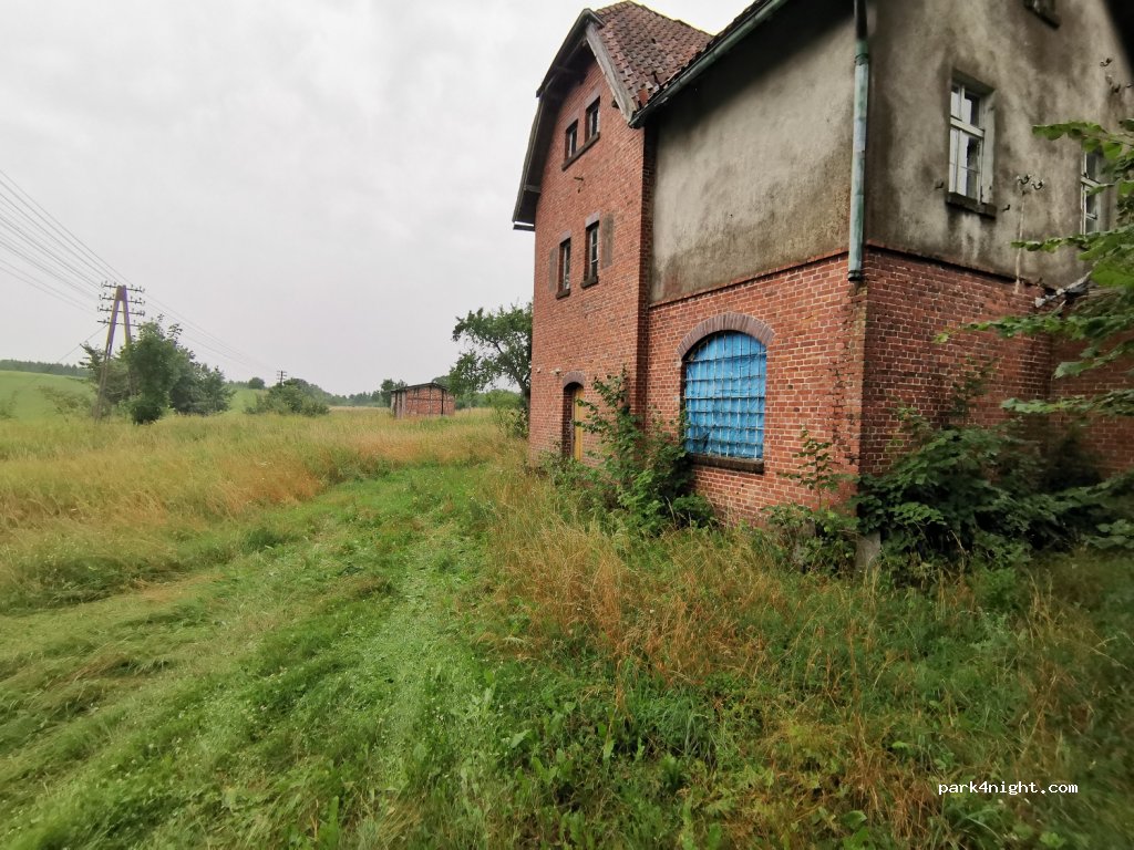 (12-250) Czarne - — foto