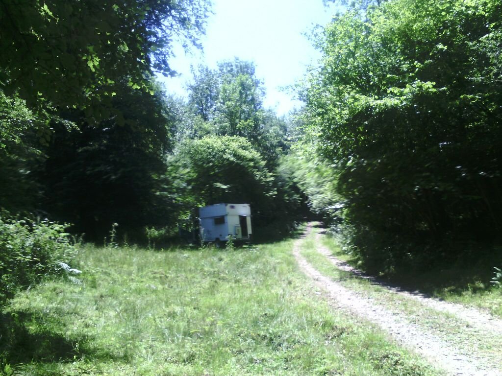 (64130) Aussurucq - 29 D147 — foto