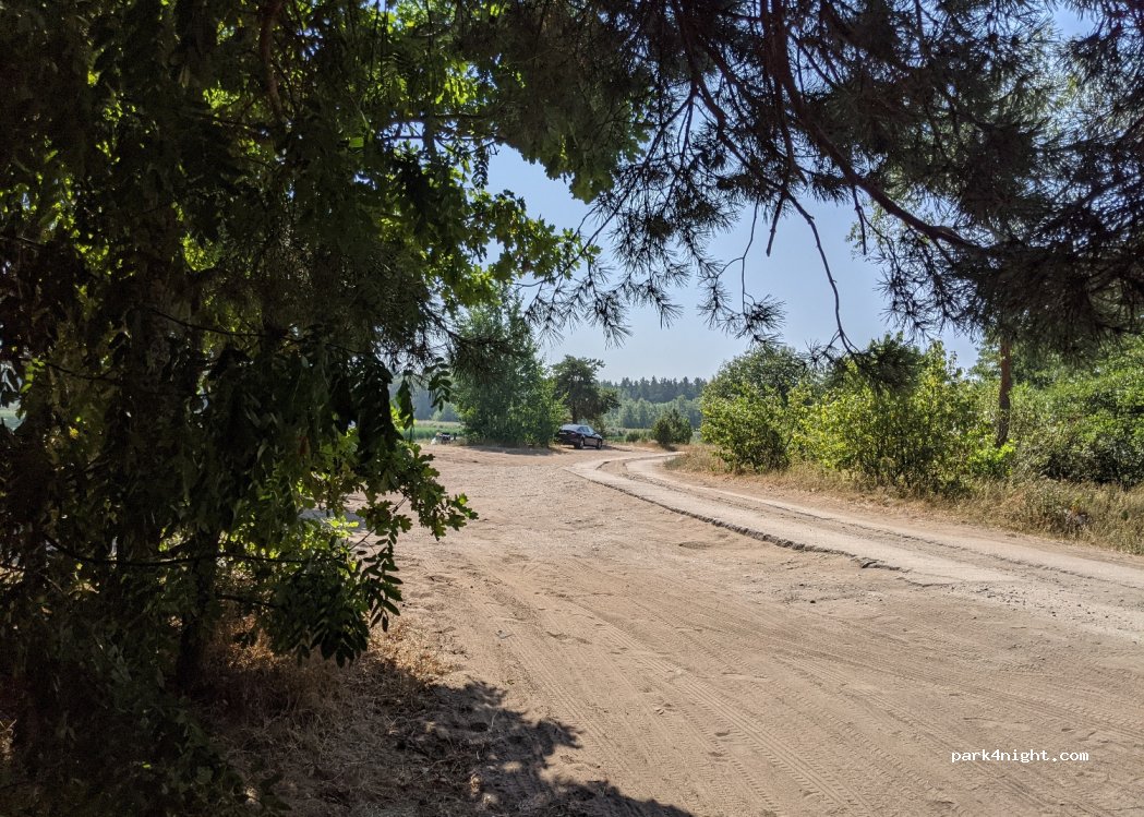 (188535) Shepelovo - Unnamed Road — foto