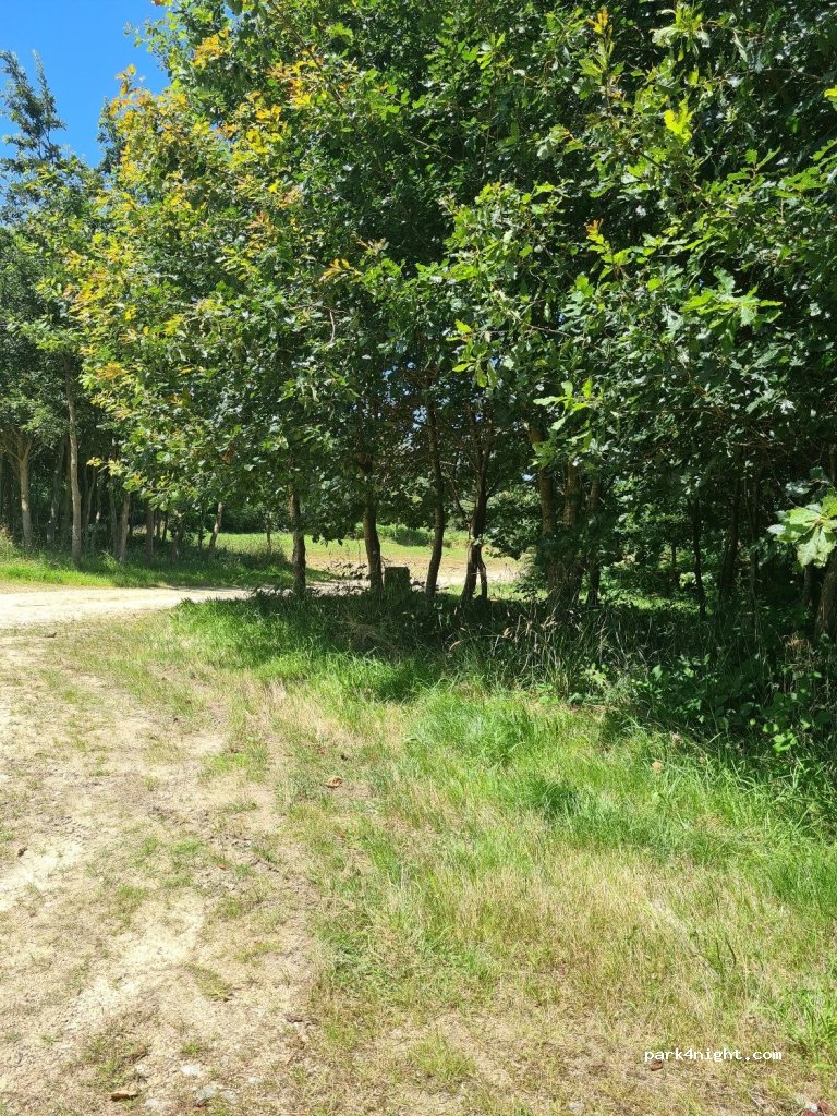 (22980) Plélan-le-Petit - 1 Rue des Plantations — foto