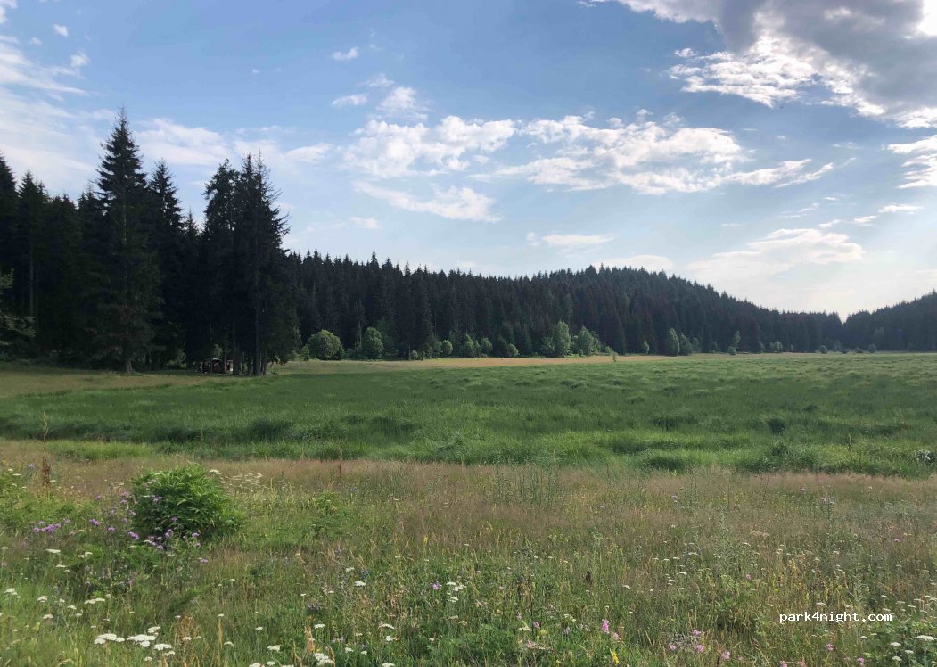 (08790) Artvin - Unnamed Road — foto