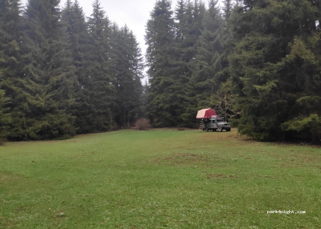 (08790) Artvin - Unnamed Road — foto 3