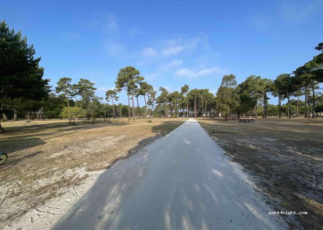 (33930) Vendays-Montalivet - Lède de Montalivet — foto 5