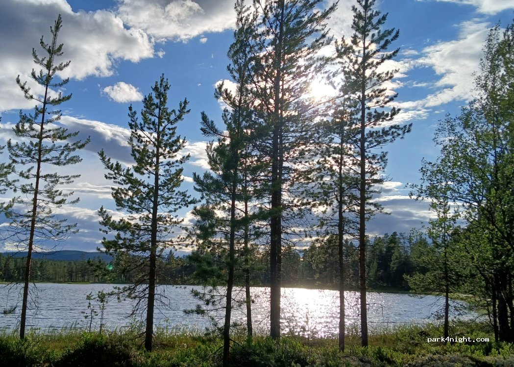 (2443) Drevsjø - Unnamed Road — foto 4