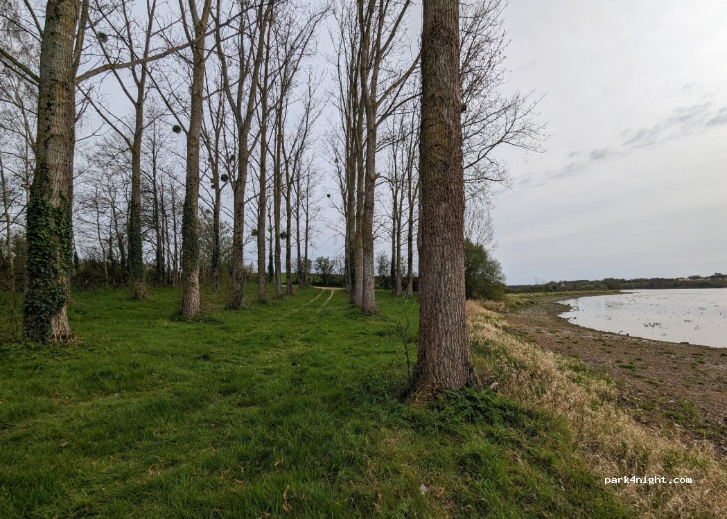 (85190) Maché - La Burguenière — foto 3