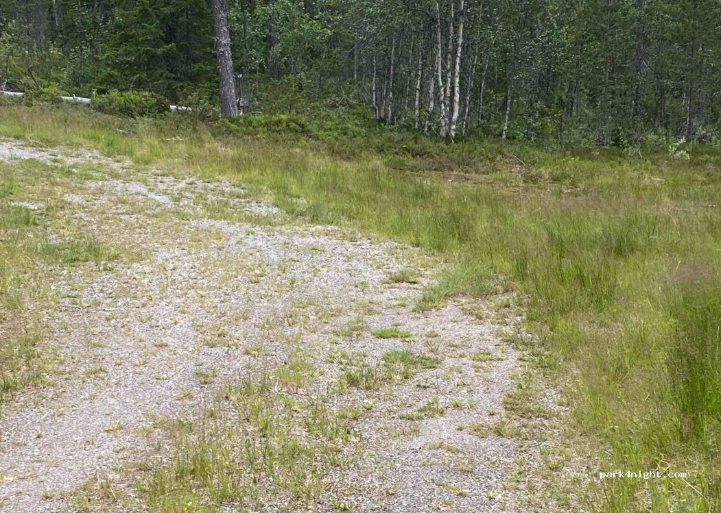 (2443) Drevsjø - Unnamed Road — foto 2