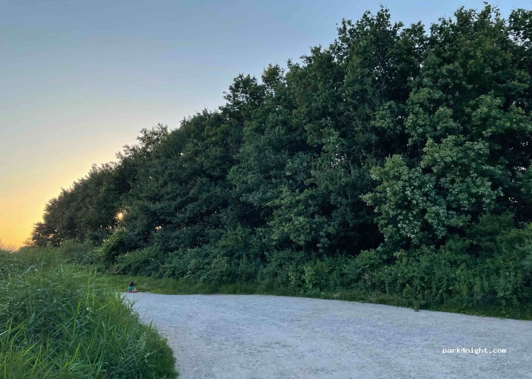 (3284) Zuid-Beijerland - 3284 Hogeweg — foto