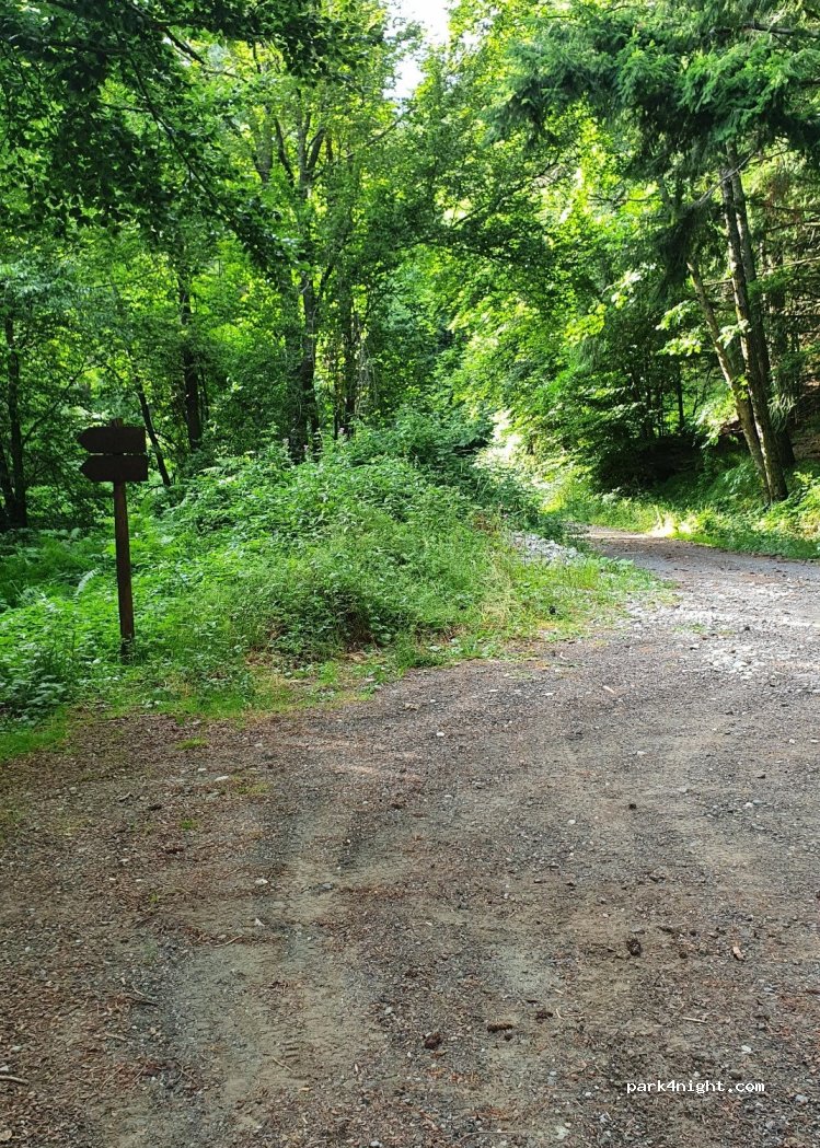 (50033) Pietramala FI - Unnamed Road — foto 2