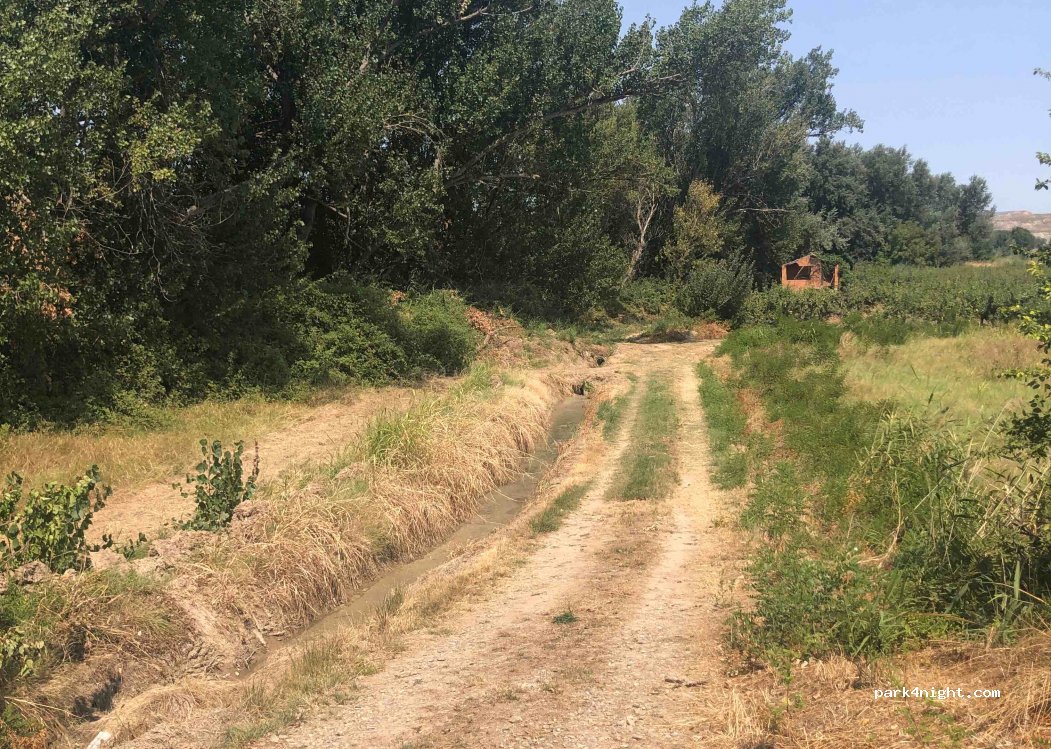 (50630) Alagón - Unnamed Road — foto 2