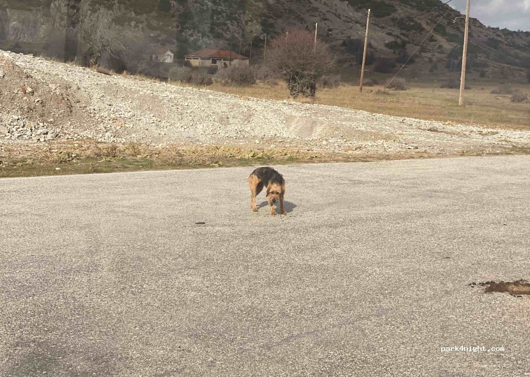 (204 00) Ziria - Unnamed Road — foto 4