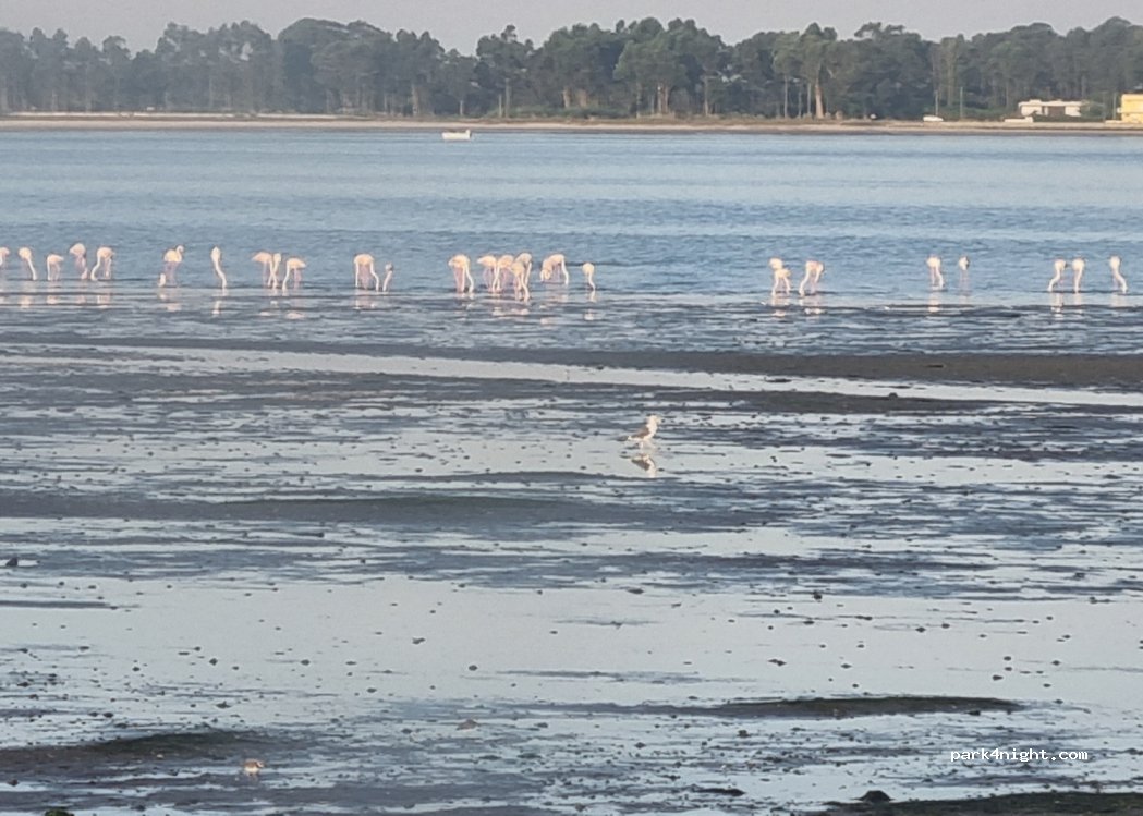 (3870-502) Bunheiro - 185 Marginal Padre António — foto 4